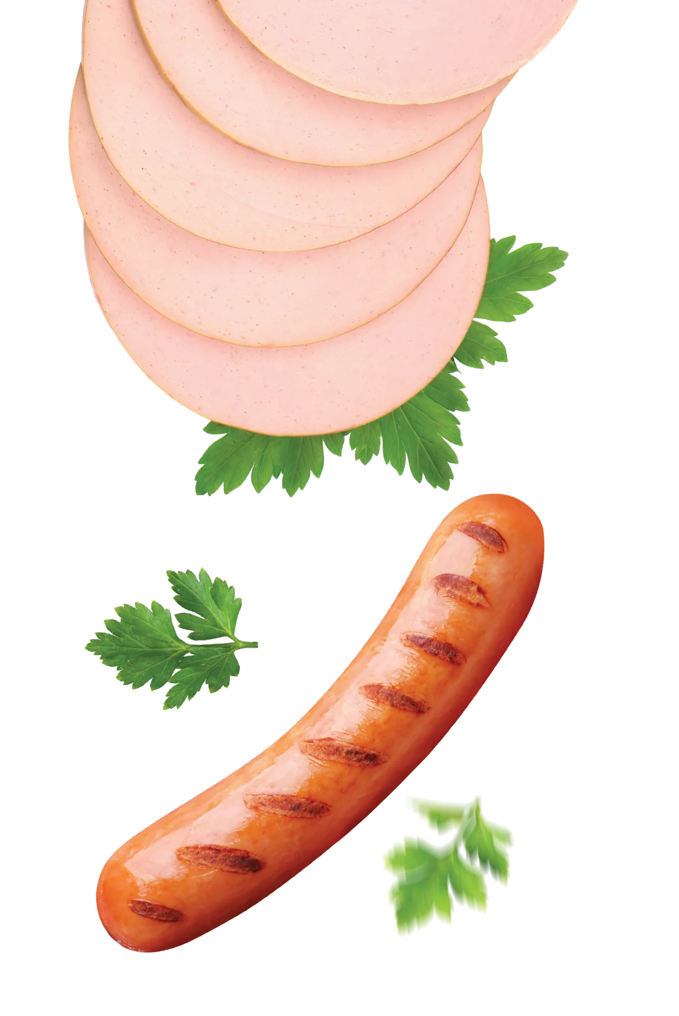 ALIMO